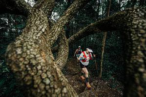 BIB: 
                            <button type="button" onclick="openModal(25700293)" class="btn btn-primary btn-sm float-right btn-popup" data-toggle="modal" data-target=".modal-high-quality">
                        <i class="fas fa-shopping-cart"></i> Add to Cart
                    </button>
                                            <button type="button" onclick="isThisMe(25700293, true)" class="btn btn-success btn-sm float-right btn-popup btn-isme hidden" data-toggle="tooltip" data-placement="bottom" title="นี่คือรูปของคุณใช่ไหม คลิกที่นี่เพื่อเอาเข้าอัลบั้ม">
                        <i class="fas fa-plus"></i> Add to album
                    </button>
                    <button type="button" onclick="isThisMe(25700293, false)" class="btn btn-warning btn-sm float-right btn-popup btn-isnotme hidden">
                        <i class="fas fa-ban"></i> Remove from album
                    </button>